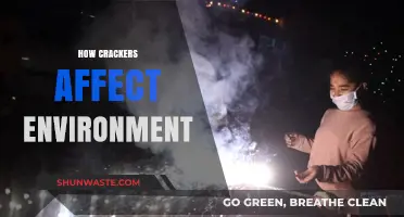 Crackers' Environmental Impact: Pollution, Waste, and Ecosystem Disruption Explained