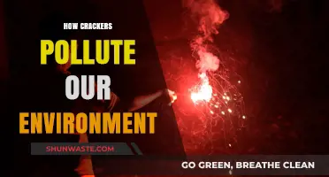 Crackers' Pollution: A Festive Hazard