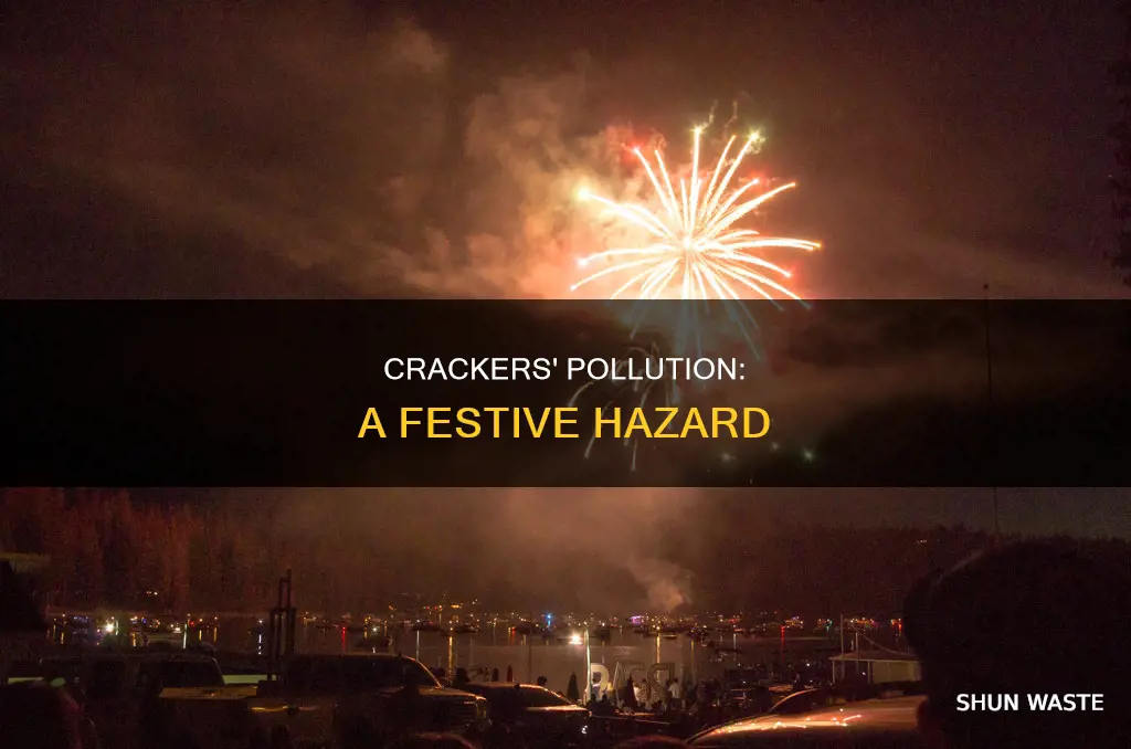 how crackers pollute our environment
