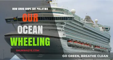 Cruise Ships Pollute Our Oceans: What's the Real Cost?