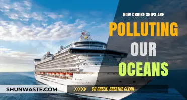 Cruise Ships: Polluting Our Oceans, Destroying Marine Life