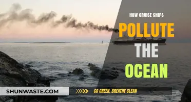 Cruise Ships: Polluting the Ocean's Depths