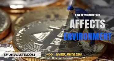 Cryptocurrency's Environmental Impact: Energy Consumption, Carbon Footprint, and Sustainability Challenges