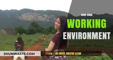 Exploring Cuba's Unique Work Culture and Employment Dynamics