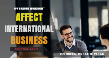 Cultural Influences: Shaping Global Business Strategies and Outcomes
