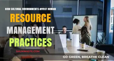 Cultural Influences on HR: Shaping Management Practices Globally