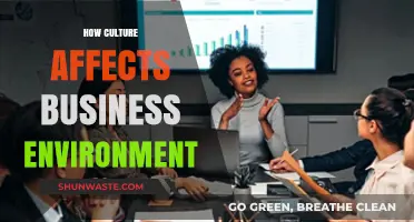 Cultural Influence: Shaping Business Environments and Global Strategies