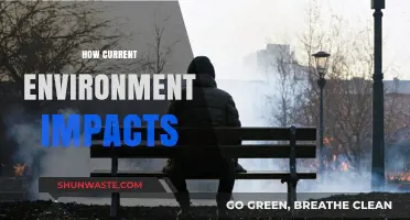 Environmental Shifts: How Current Conditions Shape Our World and Future