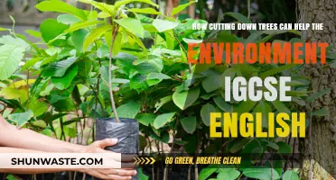 Sustainable Logging: How Cutting Trees Can Benefit the Environment