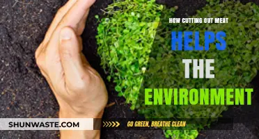 Sustainable Eating: How Cutting Out Meat Benefits Our Planet