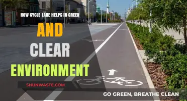Cycling Lanes: Paving the Way for Greener, Cleaner Cities