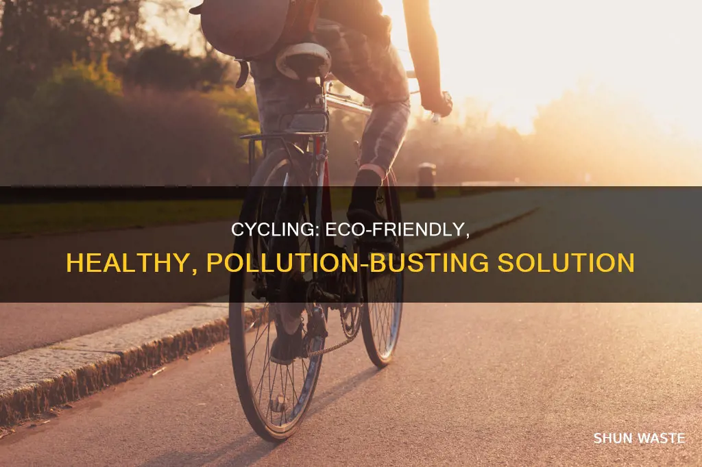 how cycling helps in controlling pollution