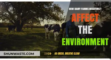Dairy Farming's Environmental Impact: Pollution, Emissions, and Land Degradation