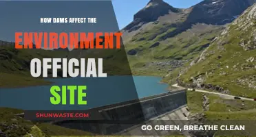 Environmental Impact of Dams: Official Insights on Ecological Changes