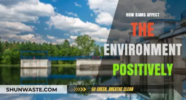 Dams' Positive Environmental Impact: Benefits and Sustainable Practices