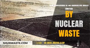 Radioactive Waste Risks: Uncovering the Dangers of Nuclear Byproducts