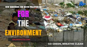 The Silent Threat: Unveiling Water Pollution's Devastating Impact on Our Planet