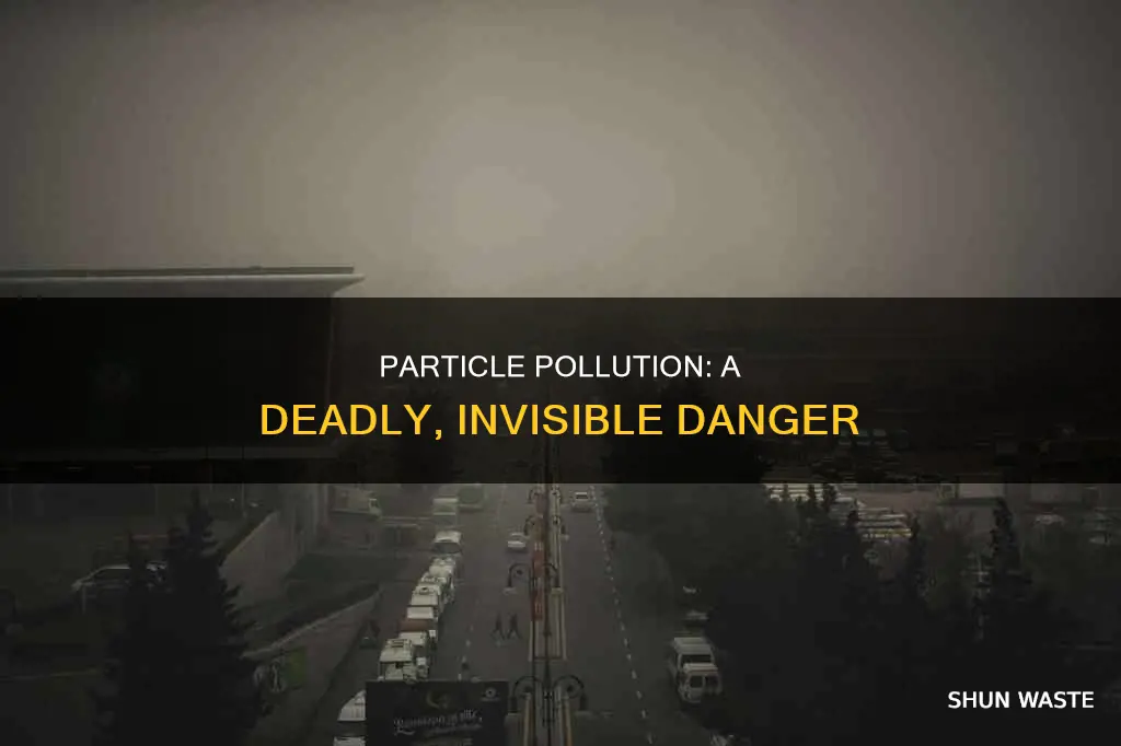 how dangerous is particle pollution