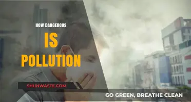 Pollution's Deadly Impact: A Global Emergency