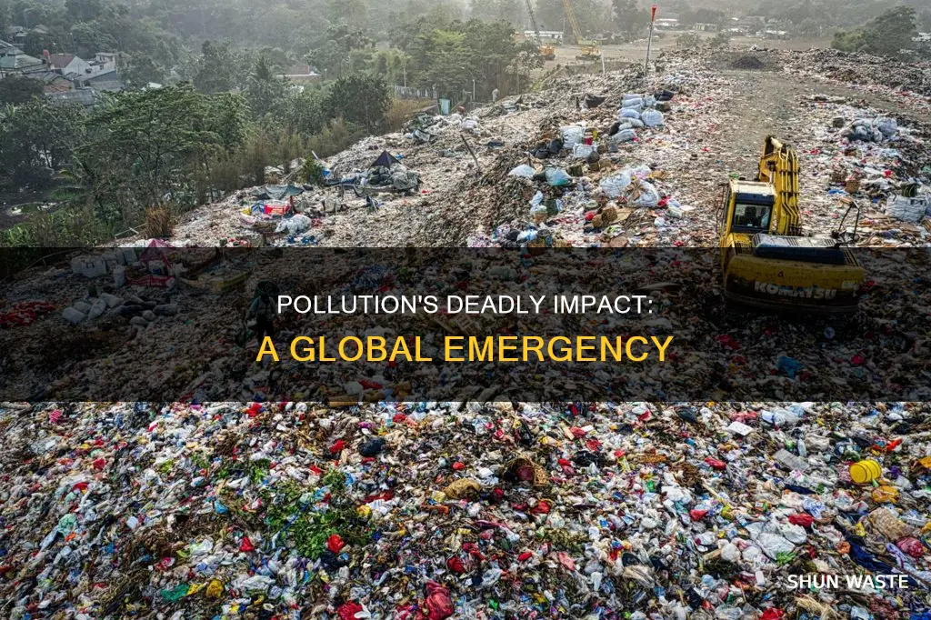 how dangerous is pollution