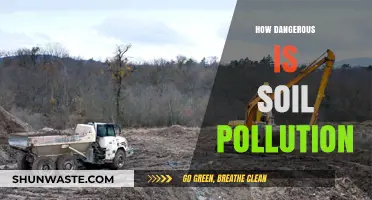 Soil Pollution: A Slow Poisoning of Nature