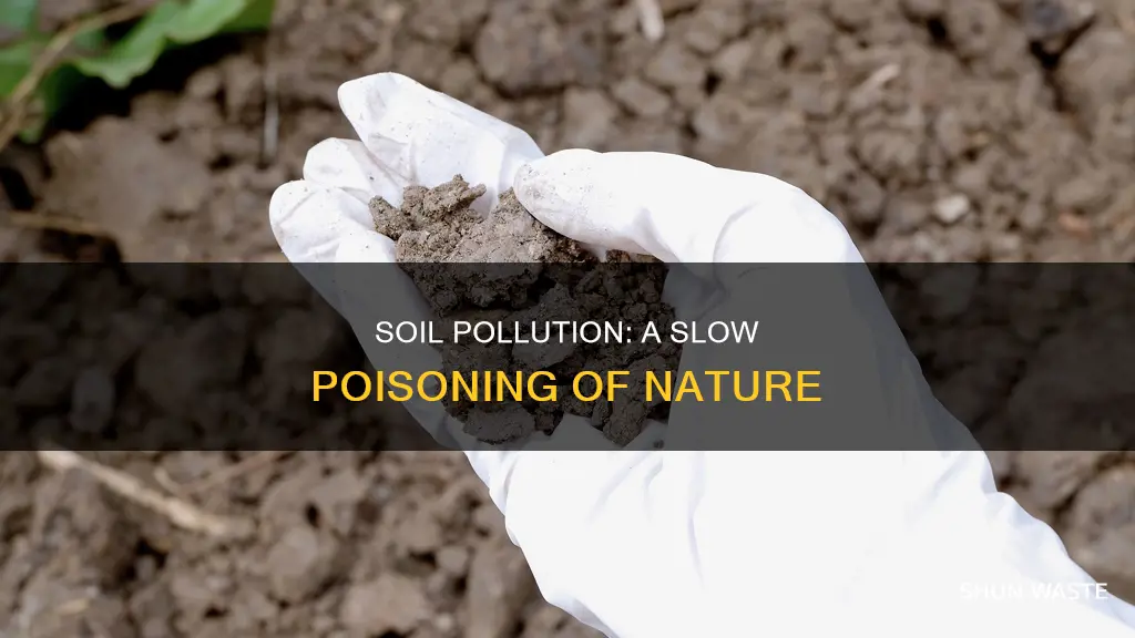 how dangerous is soil pollution