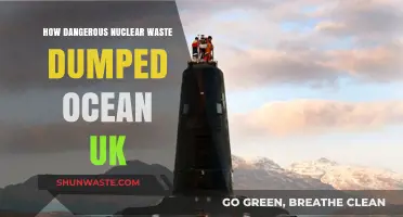 UK's Ocean Nuclear Waste Dumping: Unseen Dangers and Environmental Risks