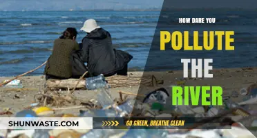 The River's Plea: Stop Polluting Our Waters Now!