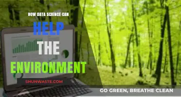 Data Science Innovations: Transforming Environmental Conservation and Sustainability Efforts