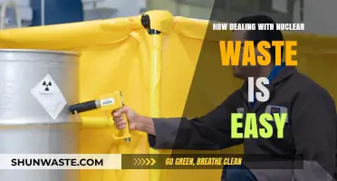 Simplifying Nuclear Waste Management: Easy Solutions for a Complex Problem
