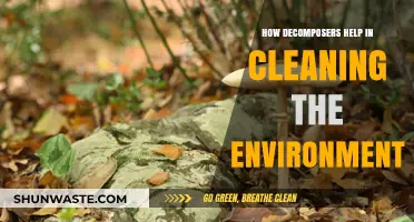 Decomposers: Nature's Cleanup Crew for a Healthier Environment