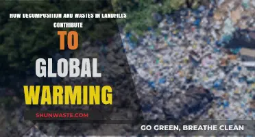 Landfill Decomposition: Unseen Driver of Global Warming and Climate Change