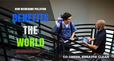 Reducing Pollution: A Global Health and Environmental Boon