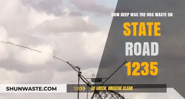 Hog Waste Crisis: State Road 1235's Shocking Depth Revealed