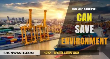 Deep Water Ports: Eco-Friendly Solutions for Sustainable Maritime Trade