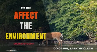 Deer's Ecological Impact: Shaping Forests, Biodiversity, and Ecosystem Balance