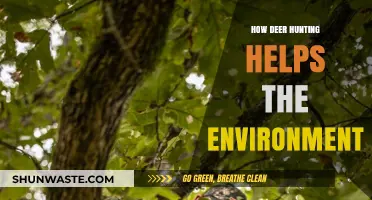 Deer Hunting's Role in Balancing Ecosystems and Preserving Nature