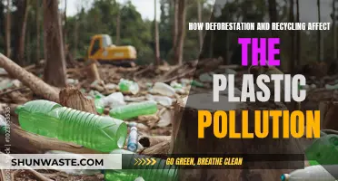 Deforestation's Impact: Plastic Pollution and Recycling's Role