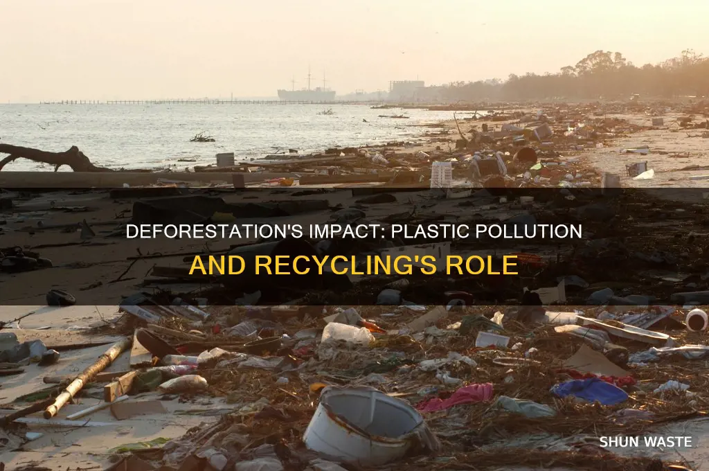 how deforestation and recycling affect the plastic pollution