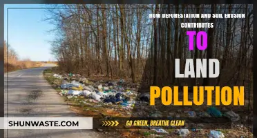 Deforestation and Soil Erosion: Land Pollution's Twin Enemies