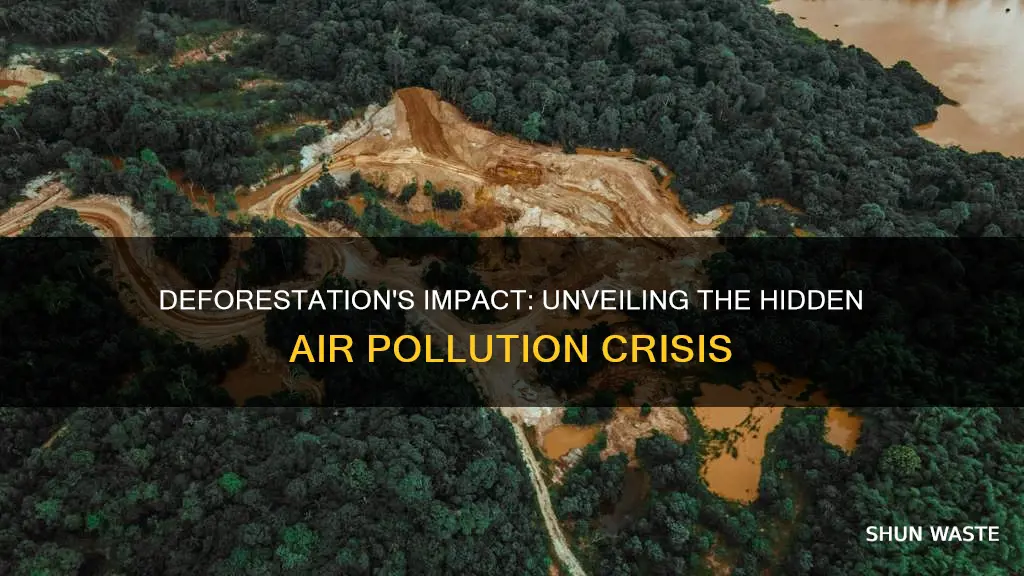 how deforestation cause air pollution