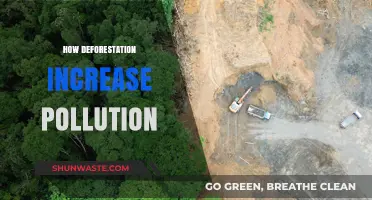 Deforestation's Impact: Pollution's Darkening Shadow