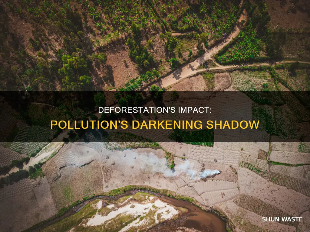how deforestation increase pollution
