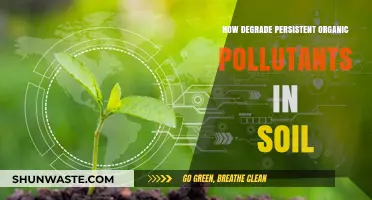 Effective Strategies to Degrade Persistent Organic Pollutants in Soil