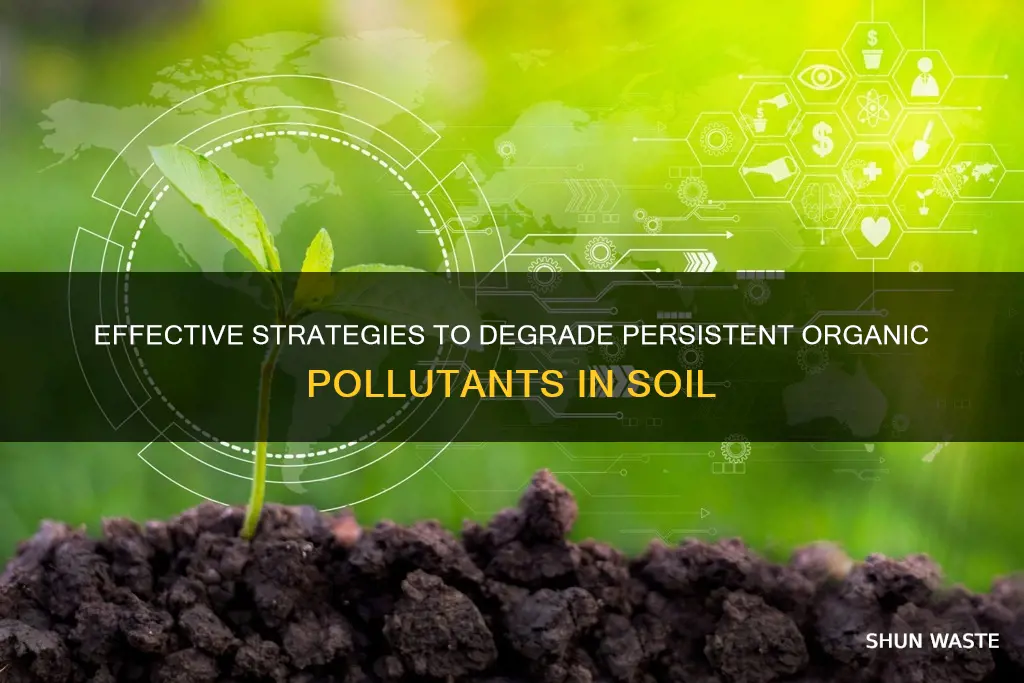 how degrade persistent organic pollutants in soil