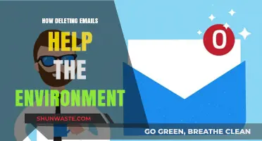 Deleting Emails: A Simple Eco-Friendly Habit to Reduce Carbon Footprint