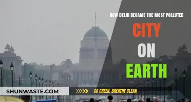Delhi's Descent: A Tale of Pollution and Negligence