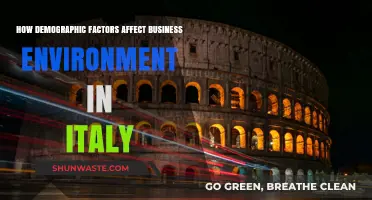 Demographic Shifts: Shaping Italy's Business Landscape and Economic Future