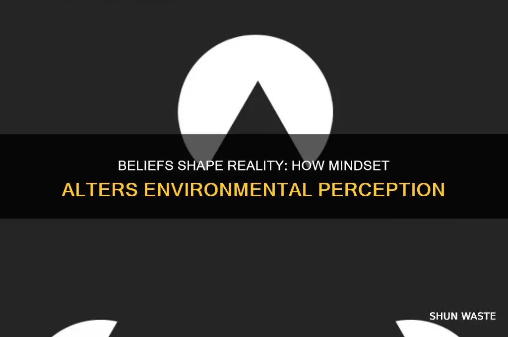 how deoes my belief change my perception of my environment