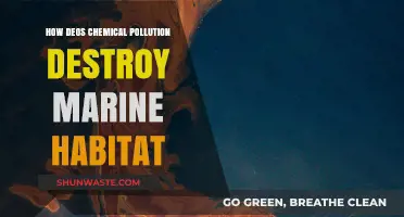 Chemical Pollution: Marine Life's Silent Killer